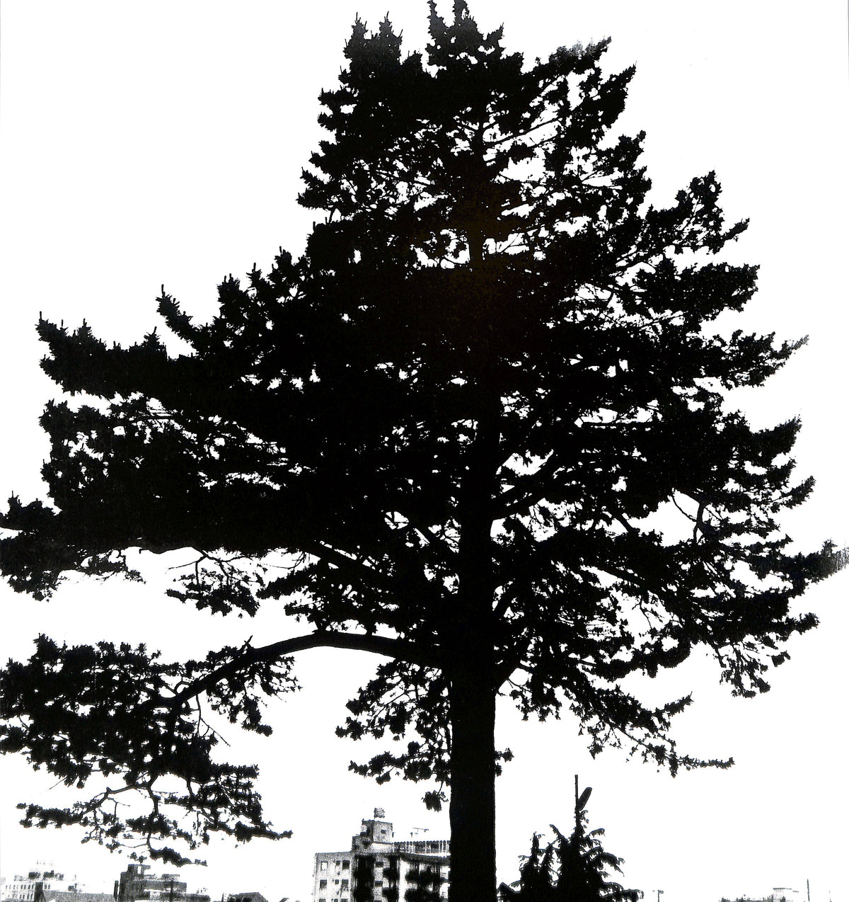 DAIDO MORIYAMA / Hysteric No. 4