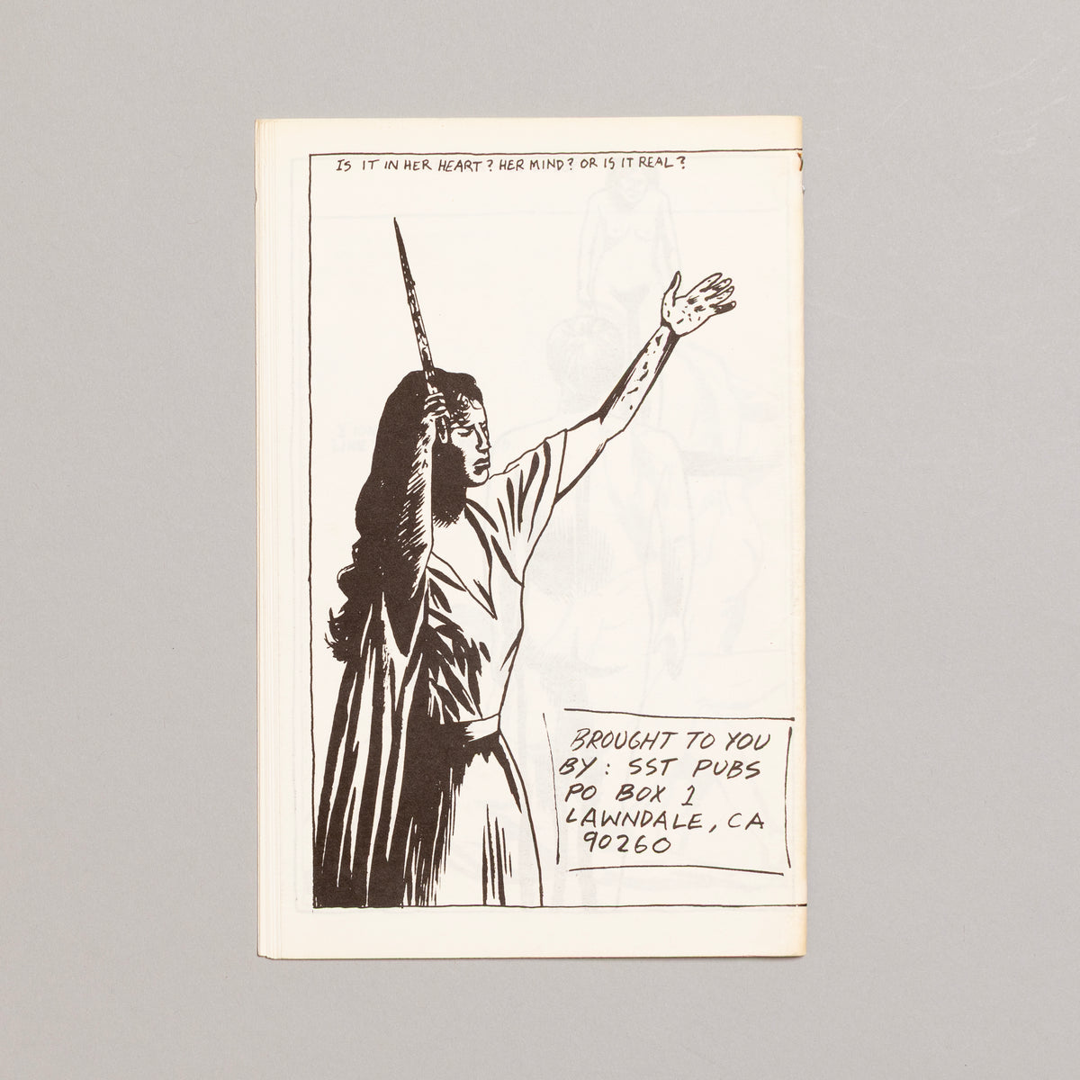 RAYMOND PETTIBON / Short Teats, Bloody Milk