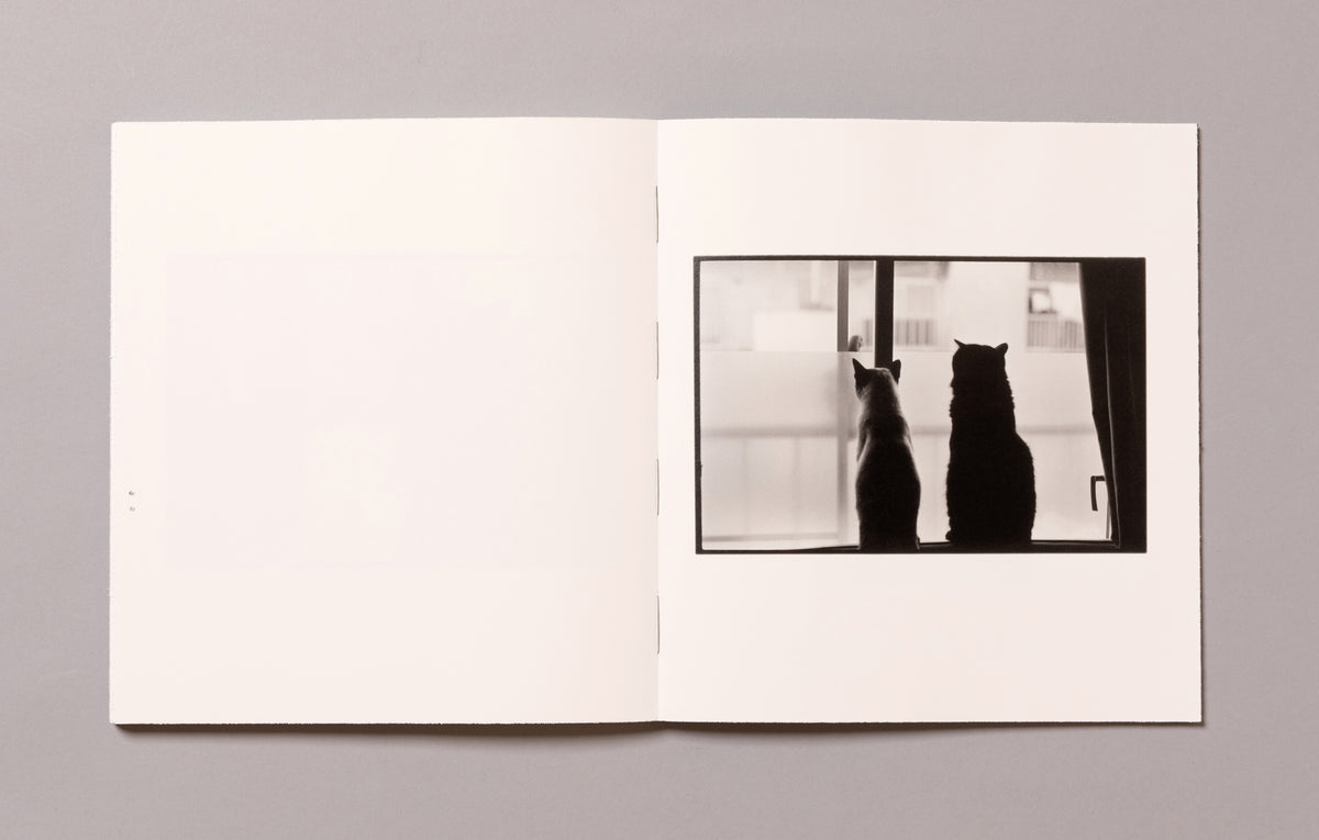 MASAHISA FUKASE / Wonderful Days