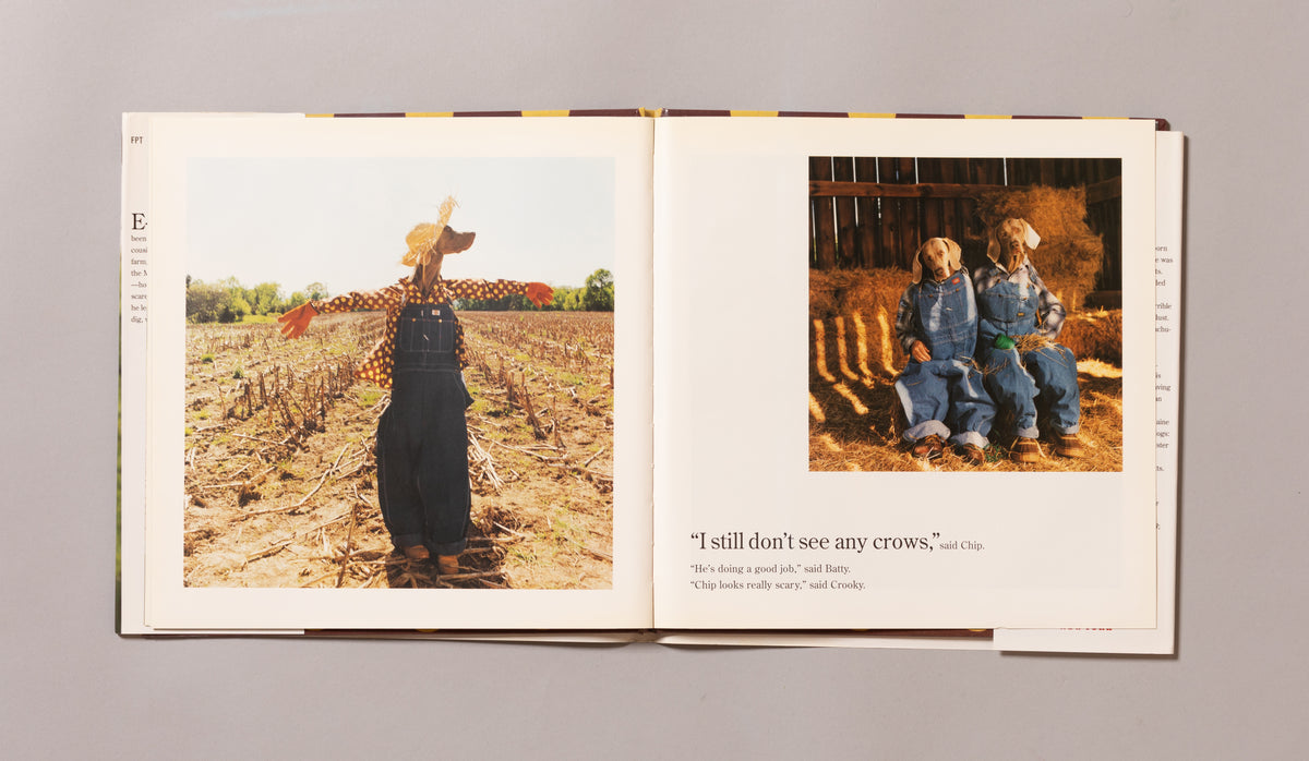 WILLIAM WEGMAN / Farm Days