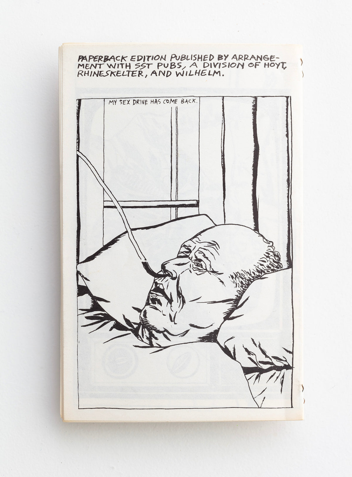 RAYMOND PETTIBON / Wein, Weib, und Gesang