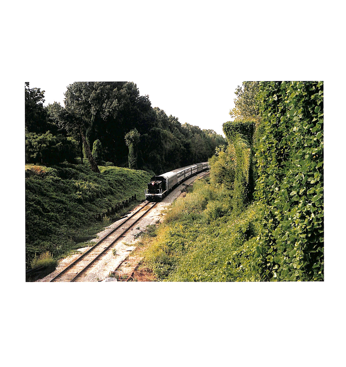 Internal page - JIM JARMUSCH & MASAYOSHI SUKITA / MYSTERY TRAIN. Train on a track surrounded by greenery