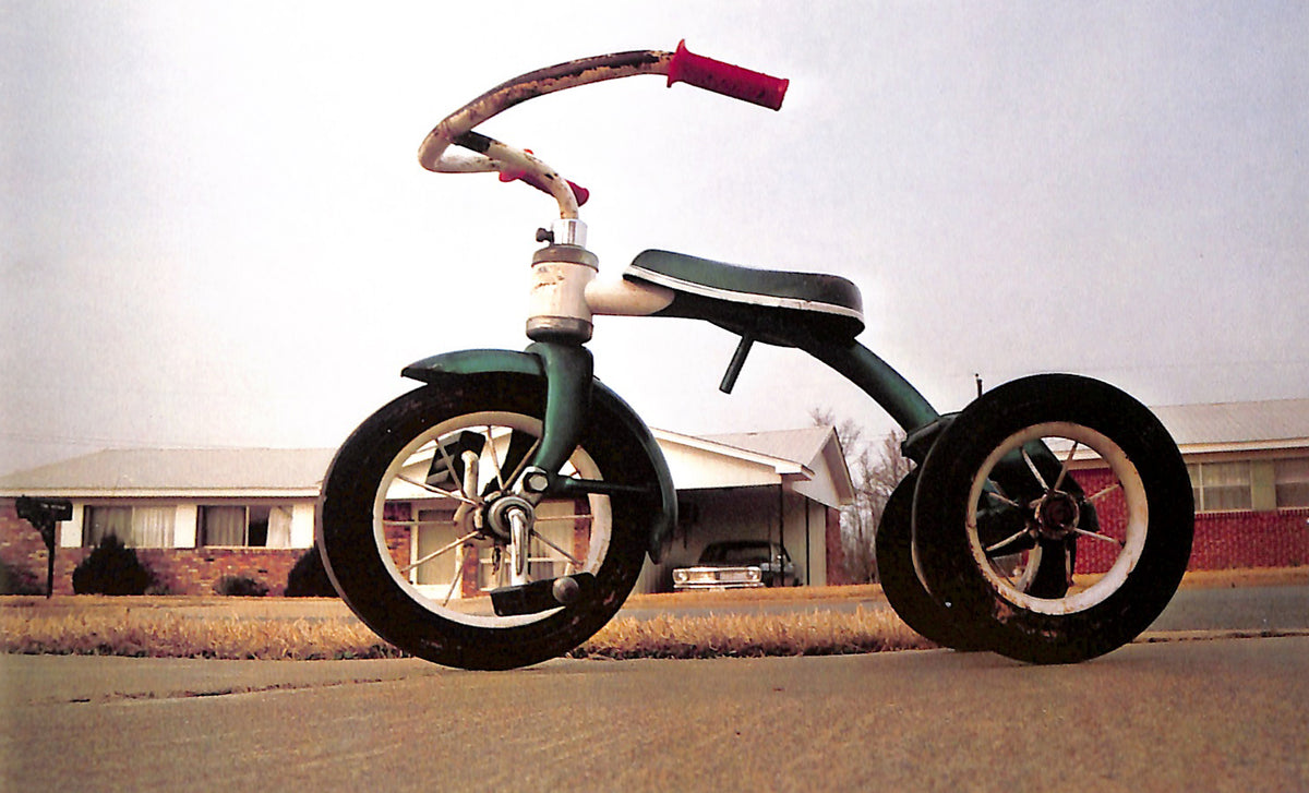 WILLIAM EGGLESTON / William Eggleston's Guide