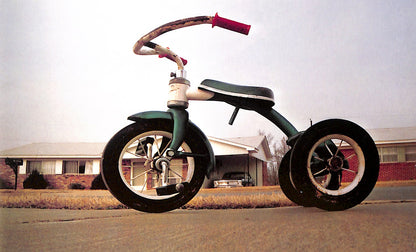 WILLIAM EGGLESTON / William Eggleston's Guide