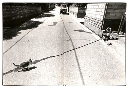 MASAHISA FUKASE / Sasuke