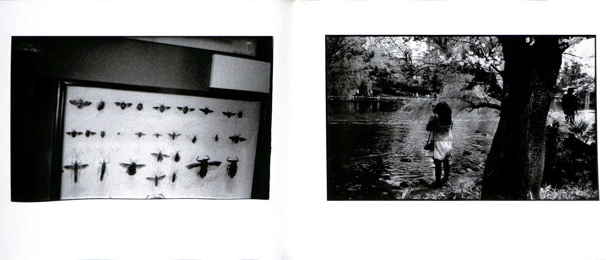 MASAKAZU MURAKAMI / Dream Within a Dream