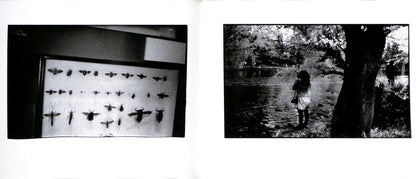 MASAKAZU MURAKAMI / Dream Within a Dream