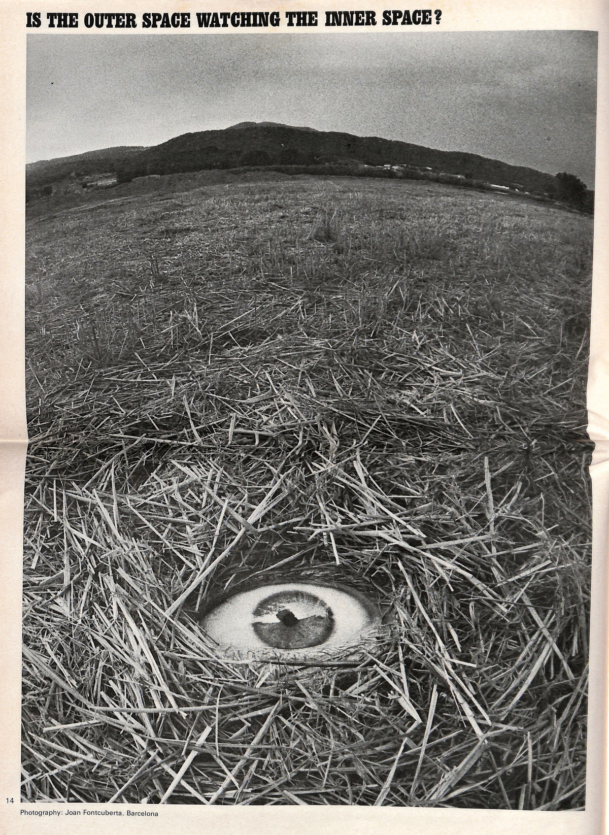 THE VILLAGE CRY / No. 5: Unidentified flying objects