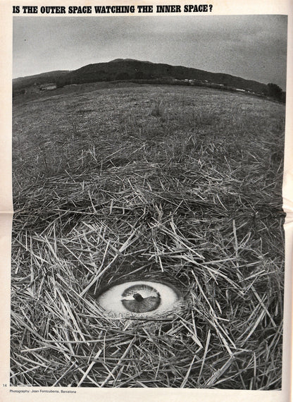 THE VILLAGE CRY / No. 5: Unidentified flying objects