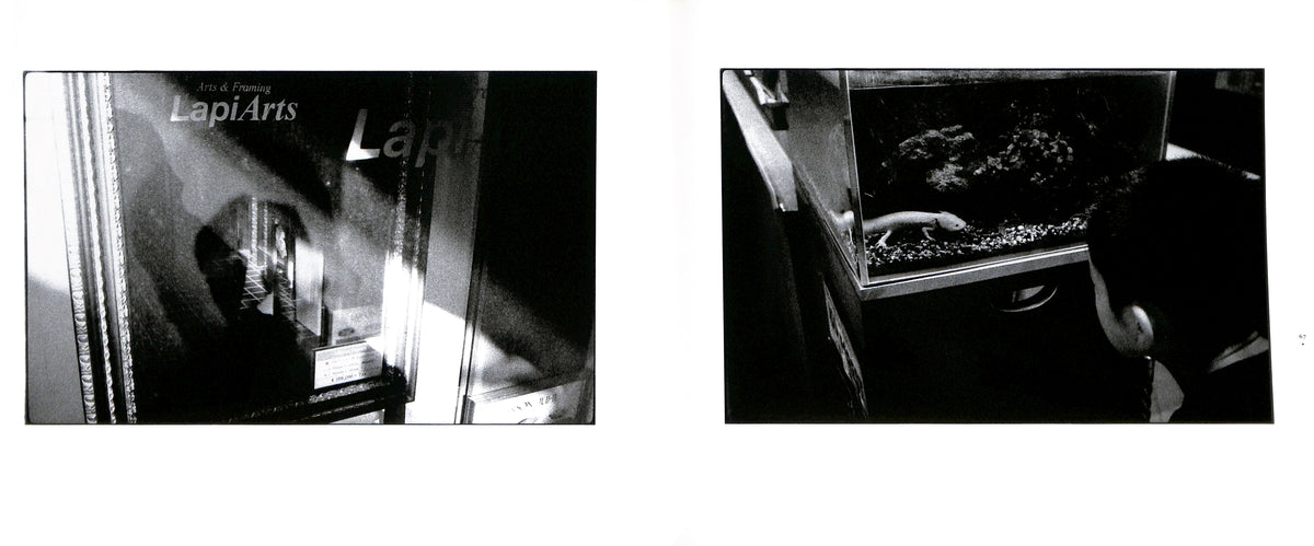 MASAKAZU MURAKAMI / Dream Within a Dream