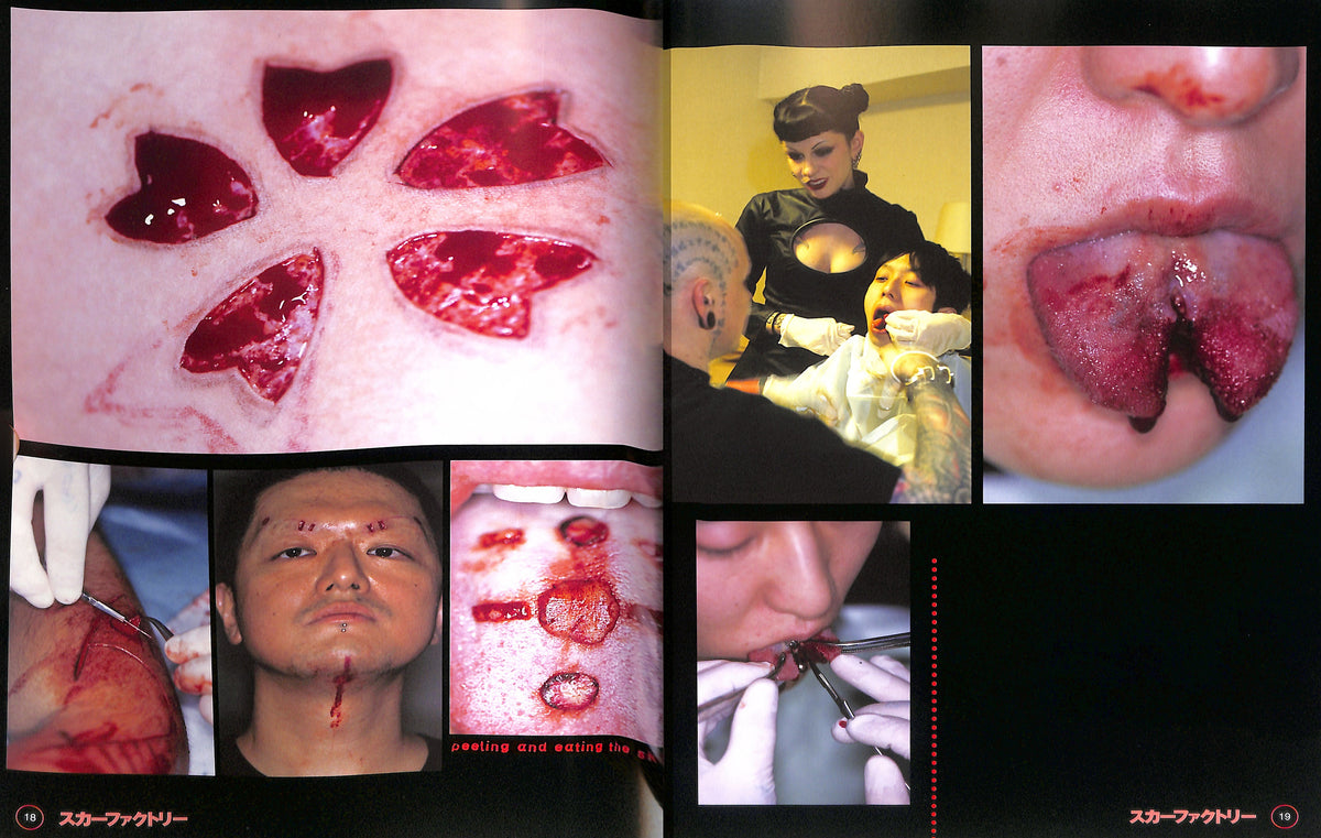 RYOICHI MAEDA / Scar Factory
