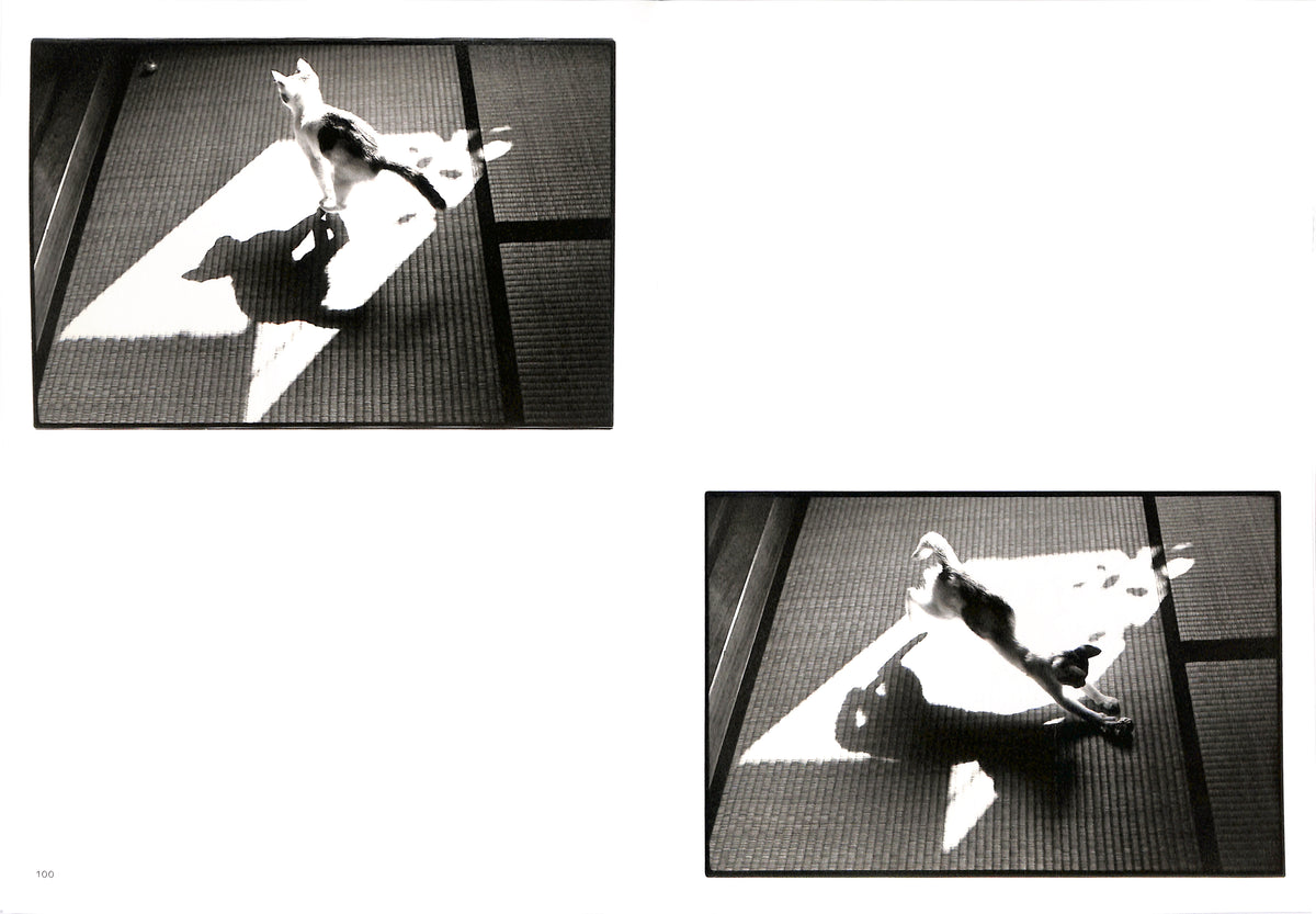 MASAHISA FUKASE / Sasuke