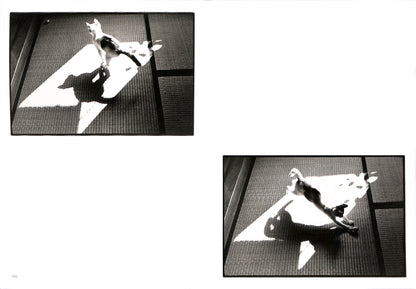 MASAHISA FUKASE / Sasuke