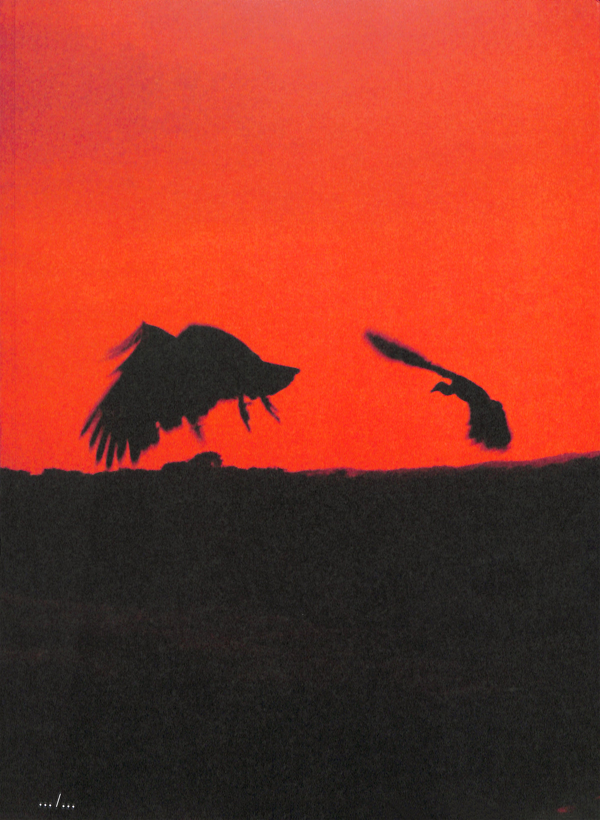 ADÉL KOLESZÁR / Only Have Faith