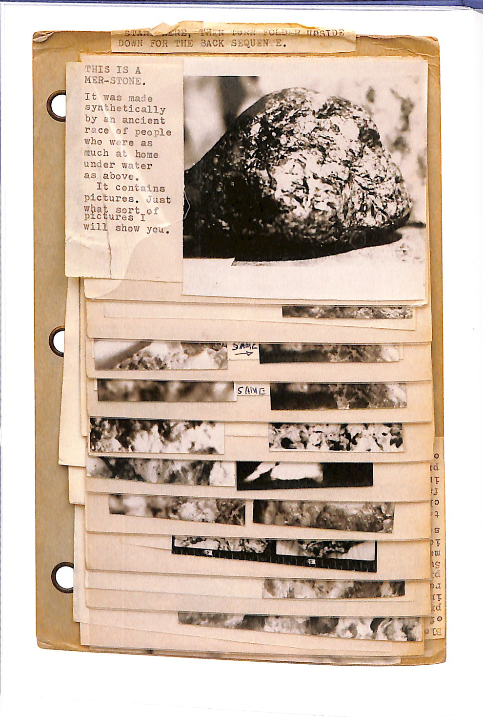 RICHARD SHARPE SHAVER / Some Stones Are Ancient Books