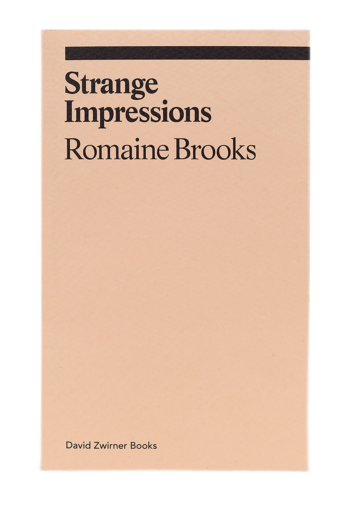 ROMAINE BROOKS / Strange Impressions