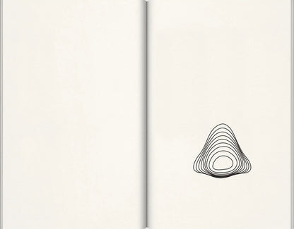 JOHN BALDESSARI / Nose Peak