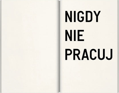RIRKRIT TIRAVANIJA / Do Not Ever Work