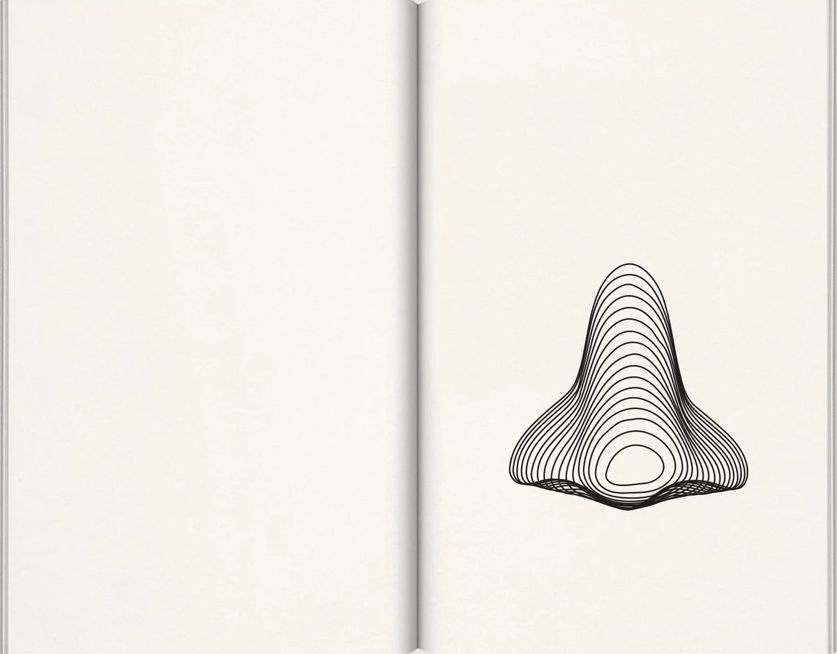 JOHN BALDESSARI / Nose Peak