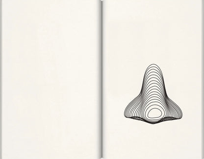 JOHN BALDESSARI / Nose Peak