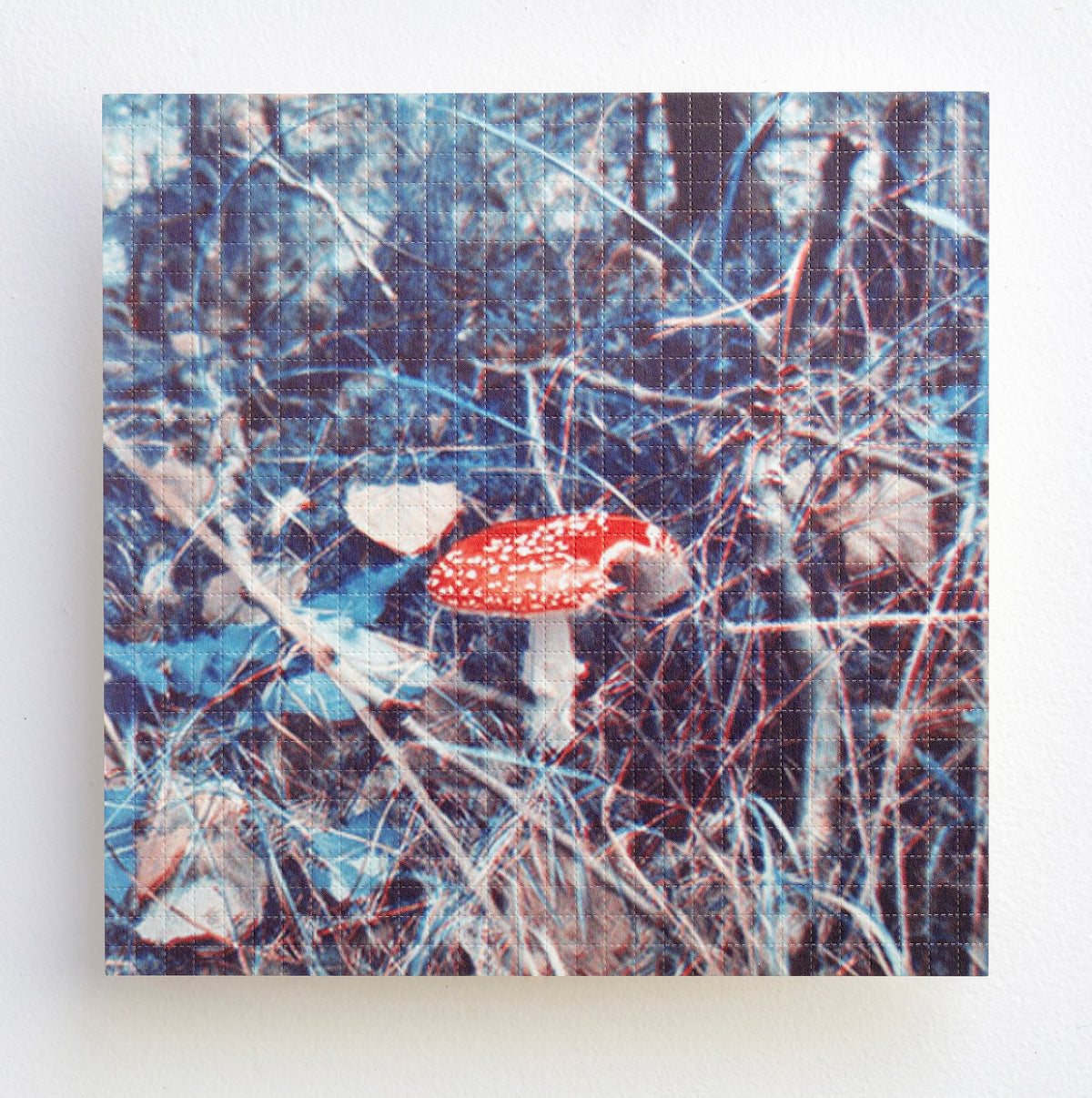 CARSTEN HÖLLER / Untitled