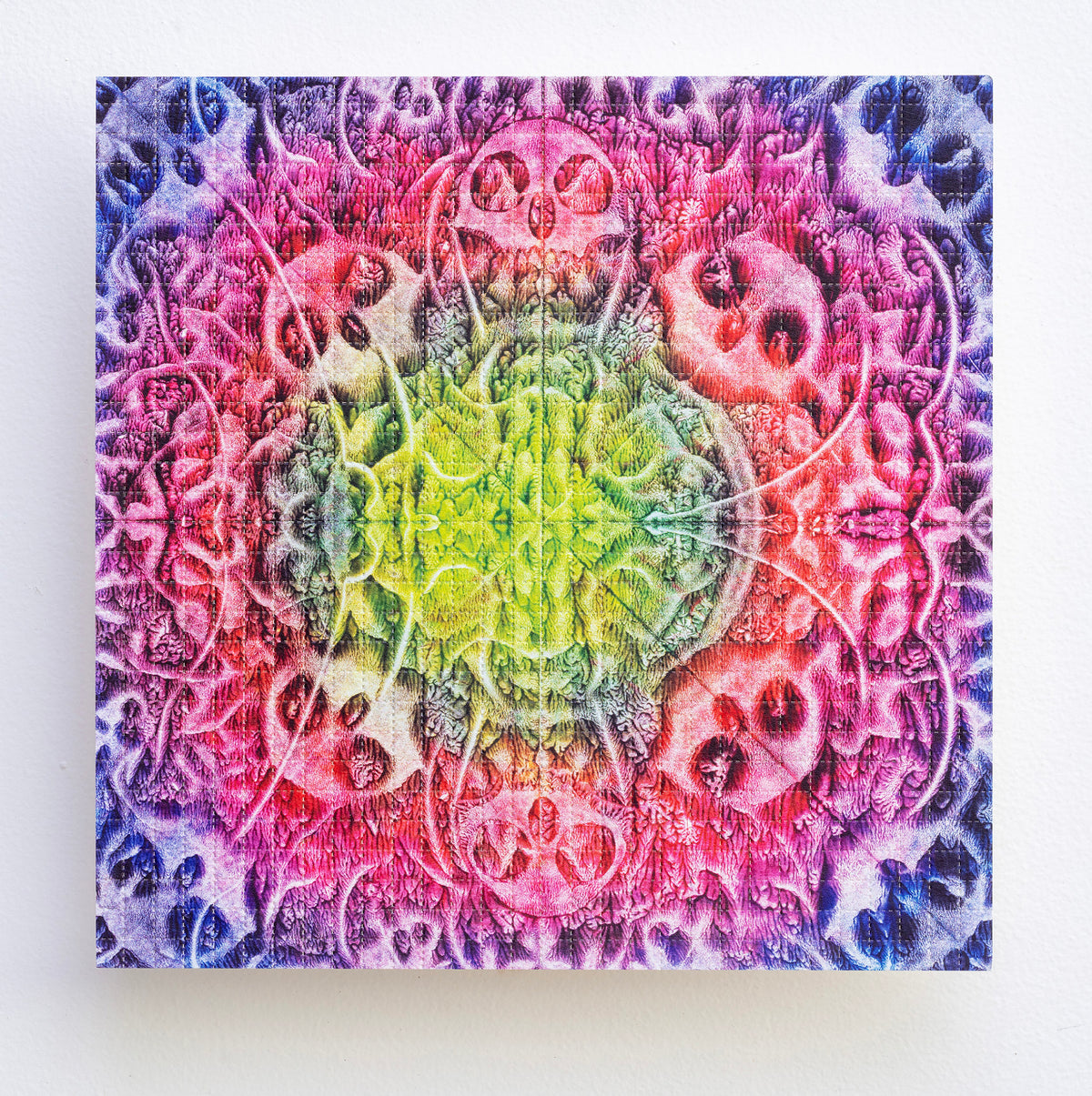 PHILIP TAAFFE / Untitled