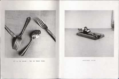 WILLIAM WEGMAN / He Took Two Pictures
