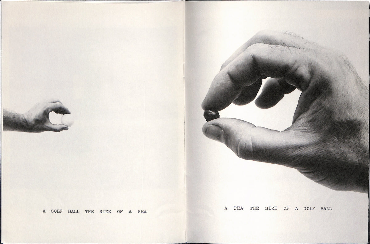 WILLIAM WEGMAN / He Took Two Pictures