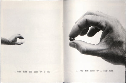 WILLIAM WEGMAN / He Took Two Pictures