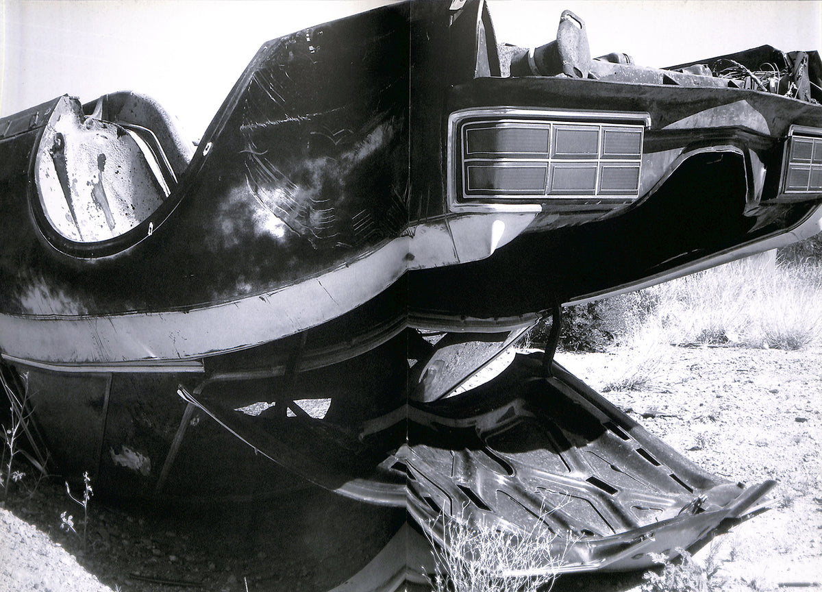 RITA ACKERMANN / Marfa/Crash