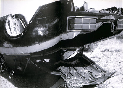RITA ACKERMANN / Marfa/Crash
