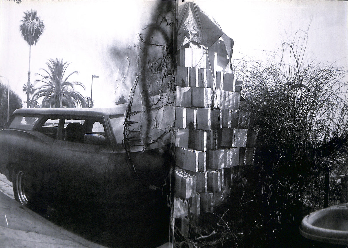 RITA ACKERMANN / Marfa/Crash