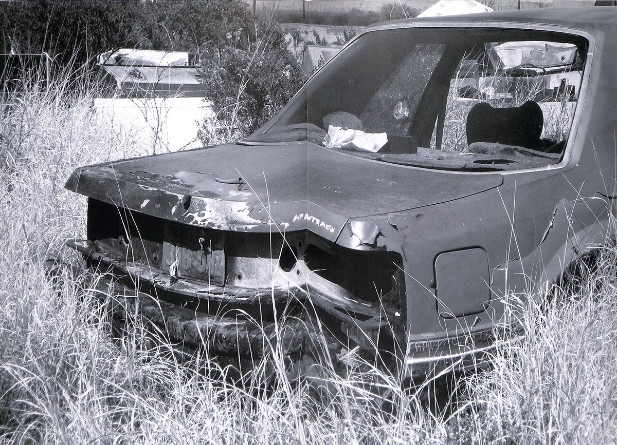 RITA ACKERMANN / Marfa/Crash