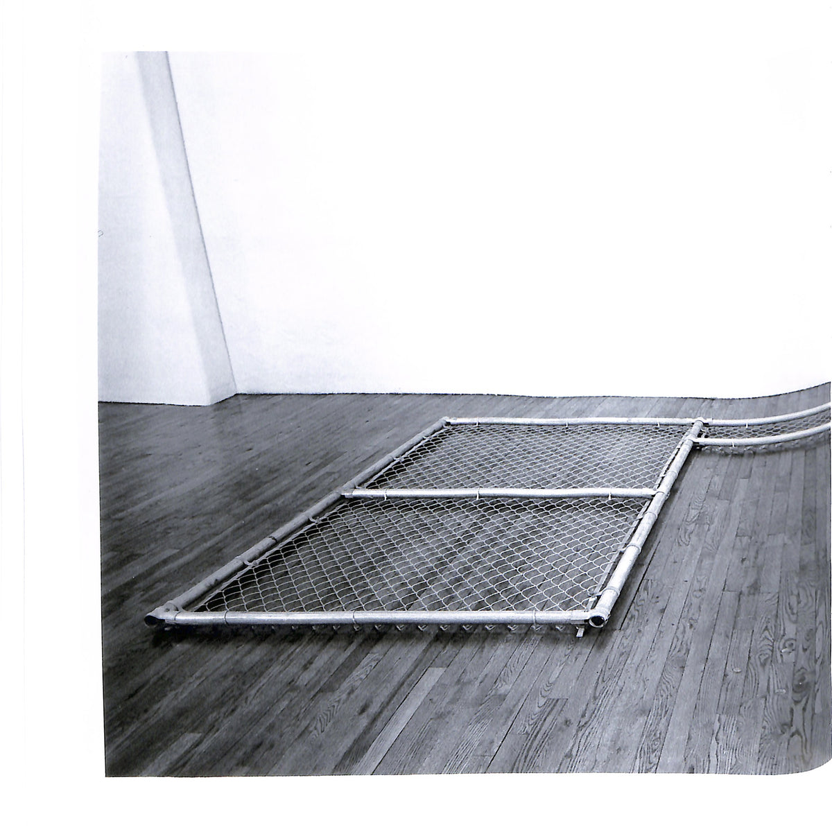 CADY NOLAND / The Clip On Method