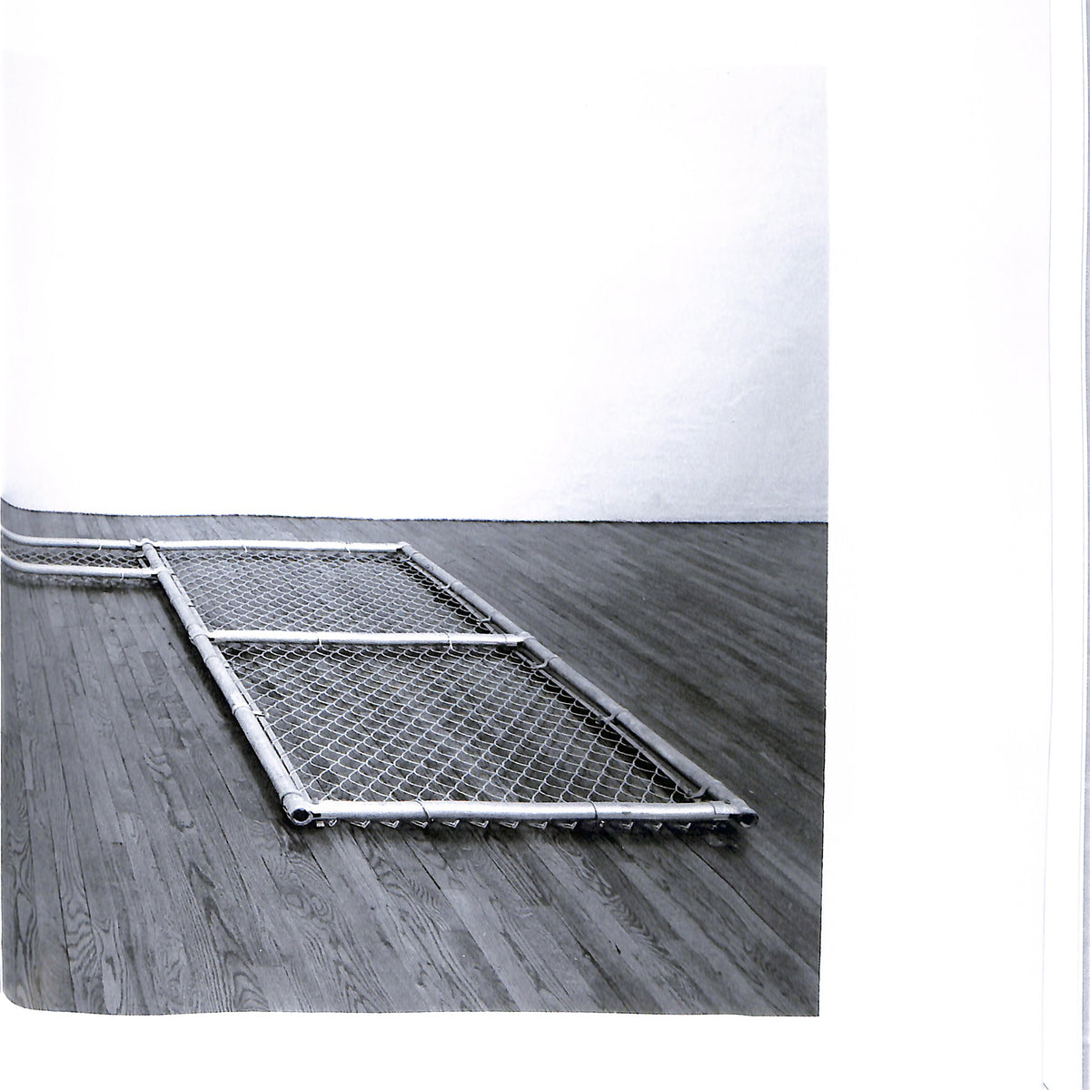 CADY NOLAND / The Clip On Method