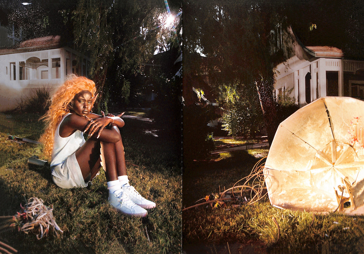 PETRA COLLINS / OMG I'm Being Killed