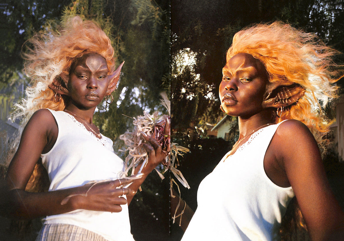 PETRA COLLINS / OMG I'm Being Killed
