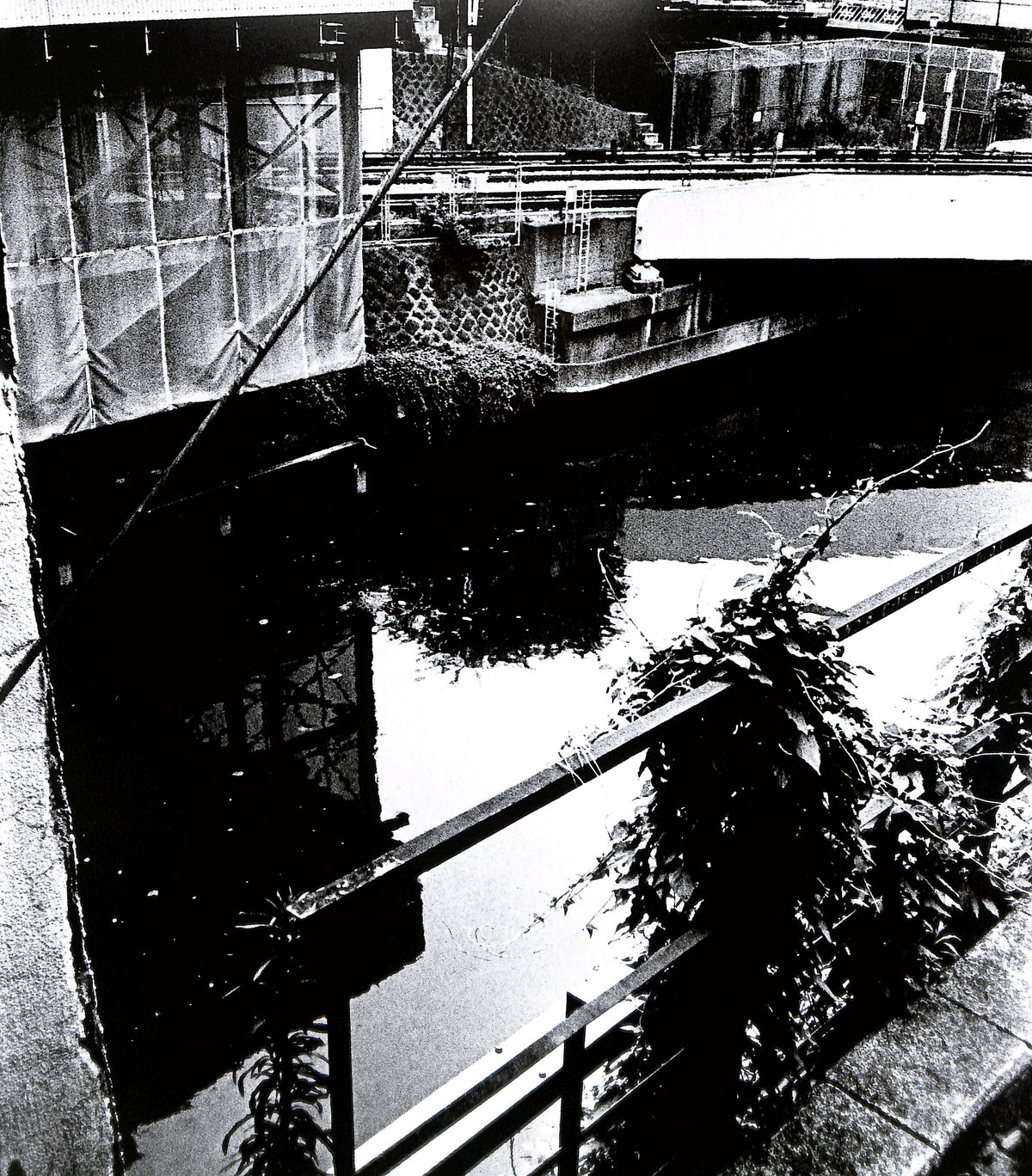 DAIDO MORIYAMA / Hysteric No. 4