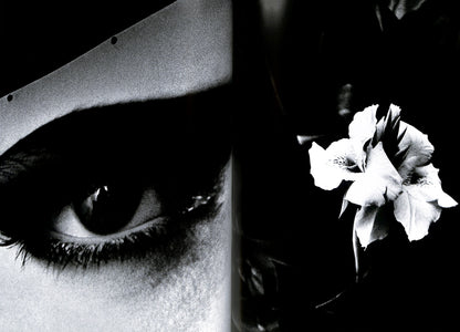 DAIDO MORIYAMA / Hysteric No. 4