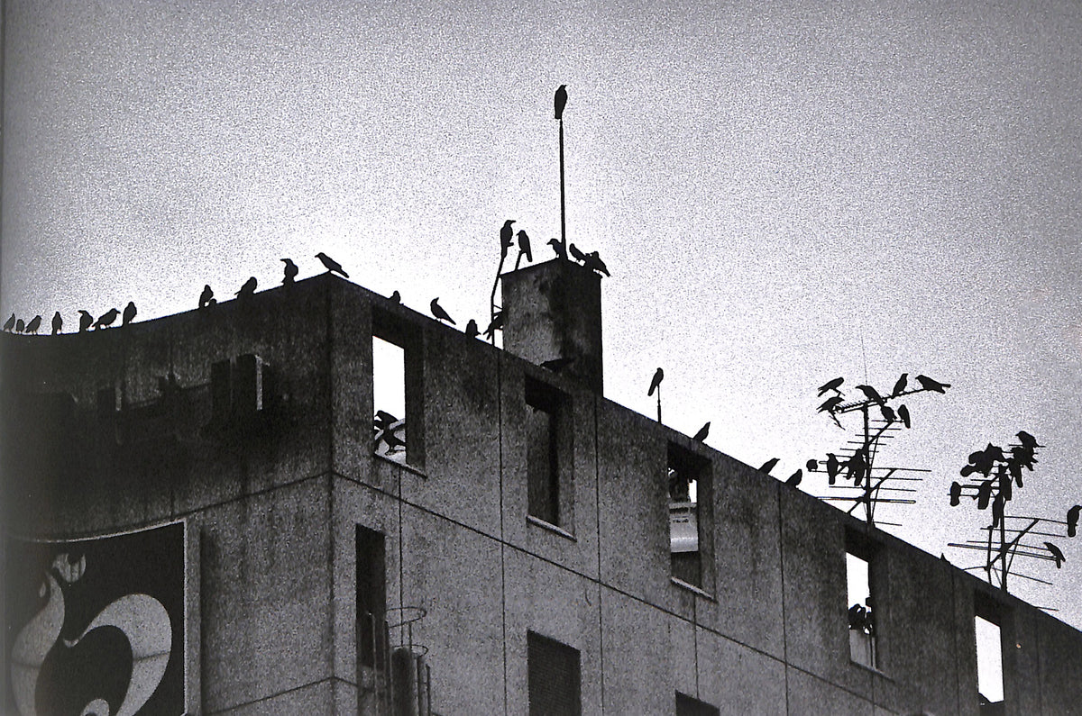 MASAHISA FUKASE / Ravens