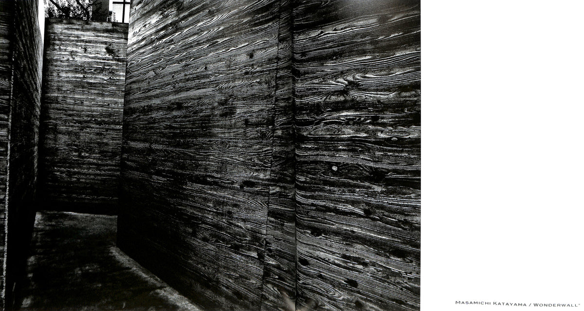 DAIDO MORIYAMA / The Tokyo Toilet