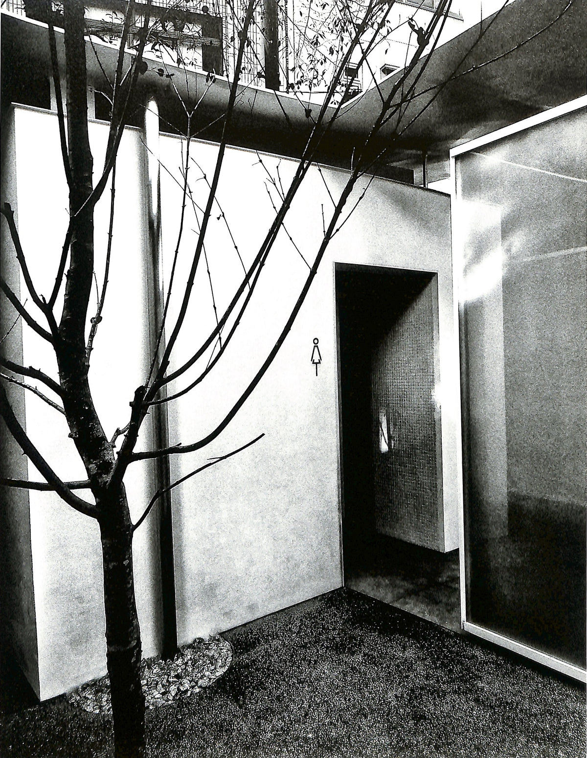 DAIDO MORIYAMA / The Tokyo Toilet