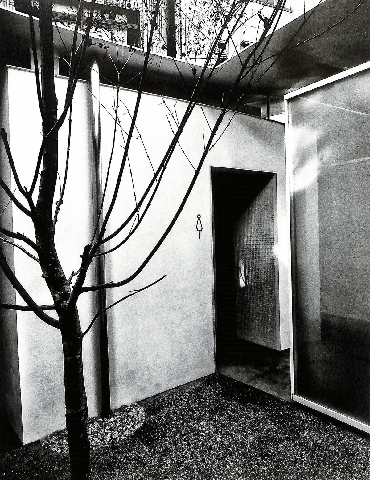 DAIDO MORIYAMA / The Tokyo Toilet