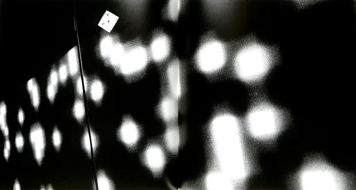 DAIDO MORIYAMA / The Tokyo Toilet