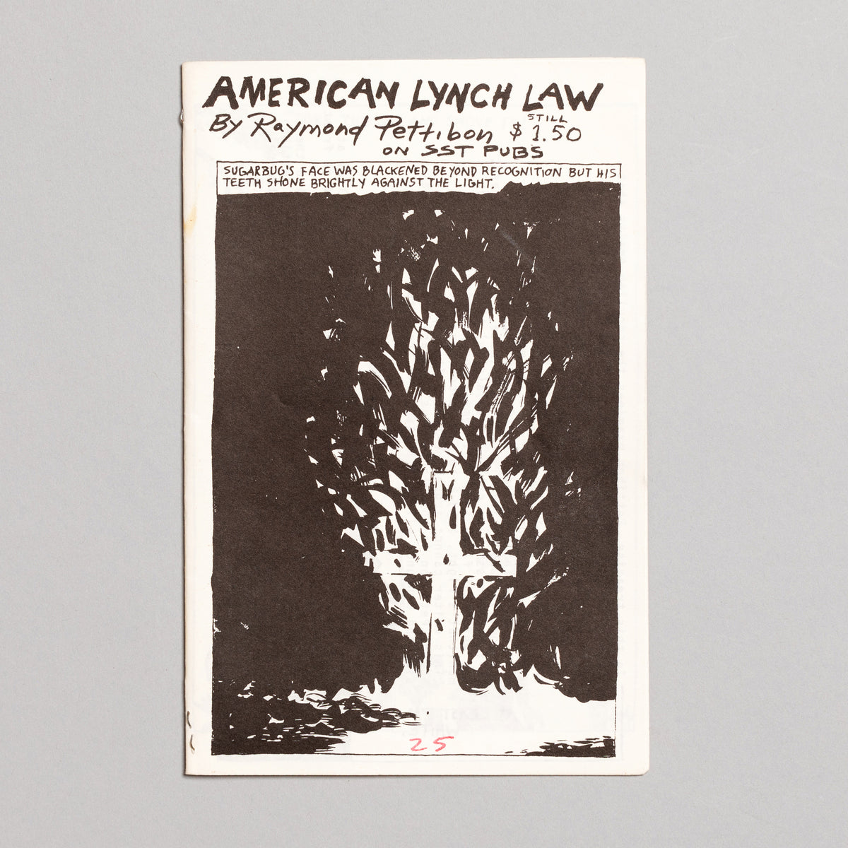 RAYMOND PETTIBON / American Lynch Law