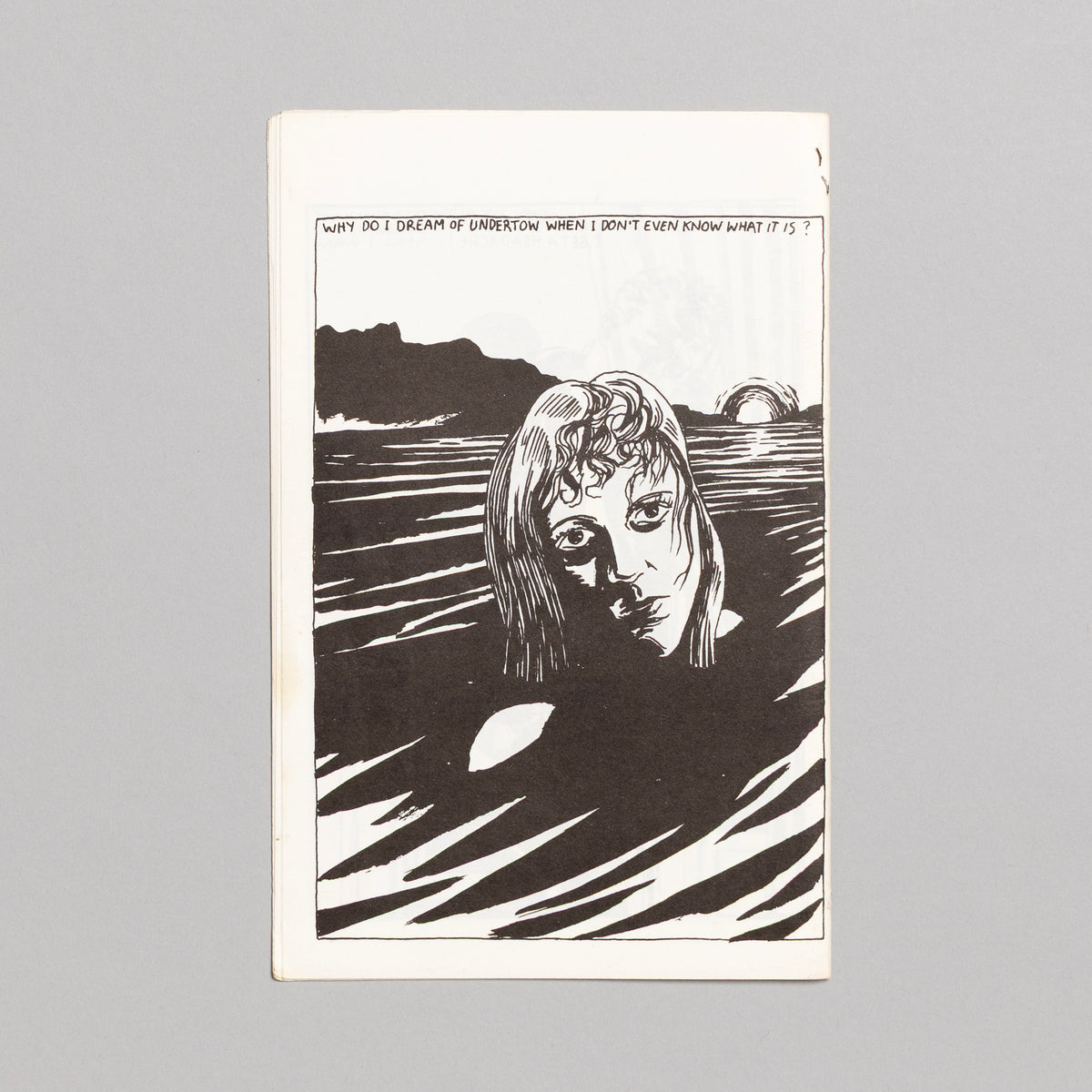 RAYMOND PETTIBON / Like Death Valley