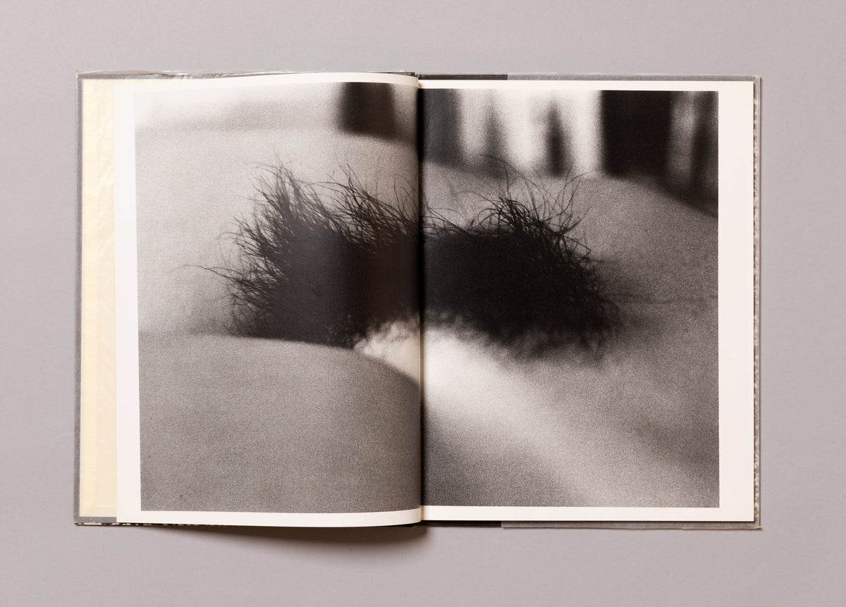 DAIDO MORIYAMA / Imitations