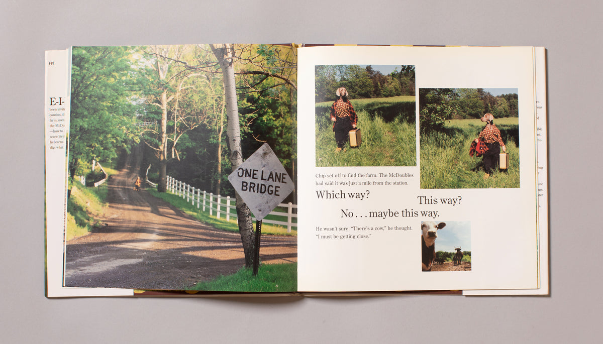 WILLIAM WEGMAN / Farm Days
