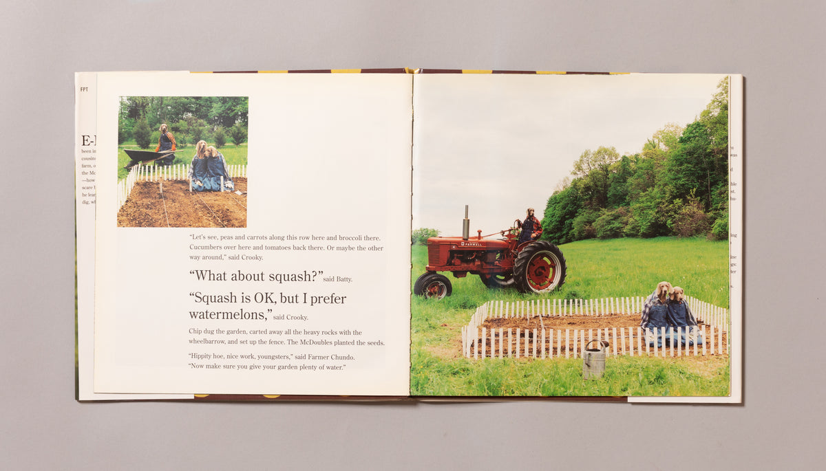 WILLIAM WEGMAN / Farm Days