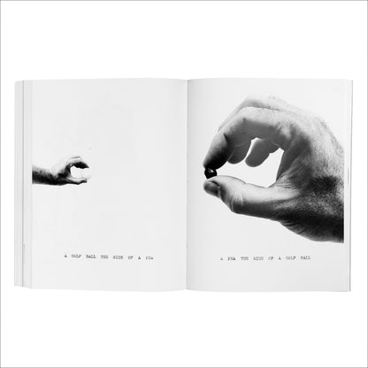 WILLIAM WEGMAN / Writing by Artist